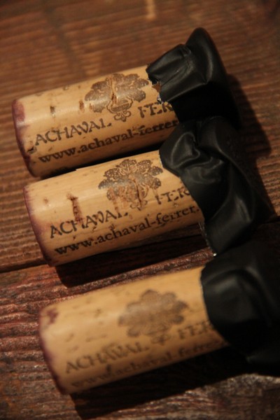 Tasting of Achaval Ferrer Wine